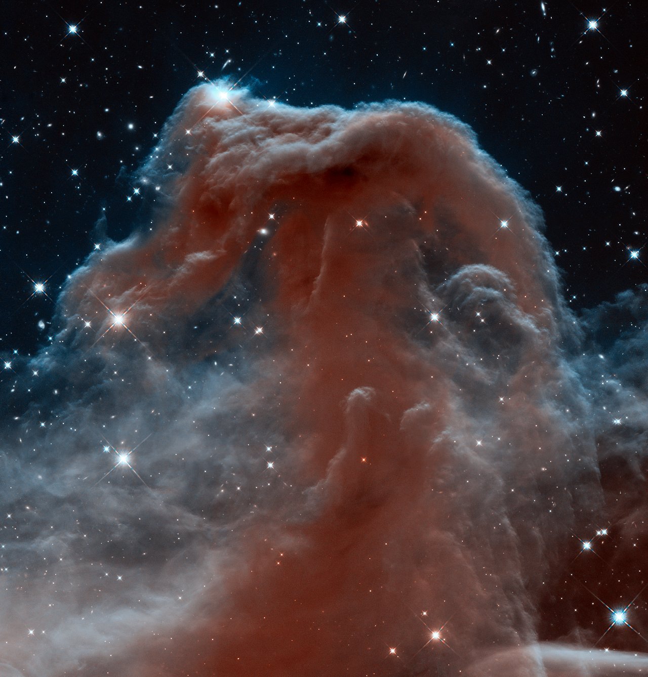 New infrared view of the Horsehead Nebula — Hubble's 23rd anniversary