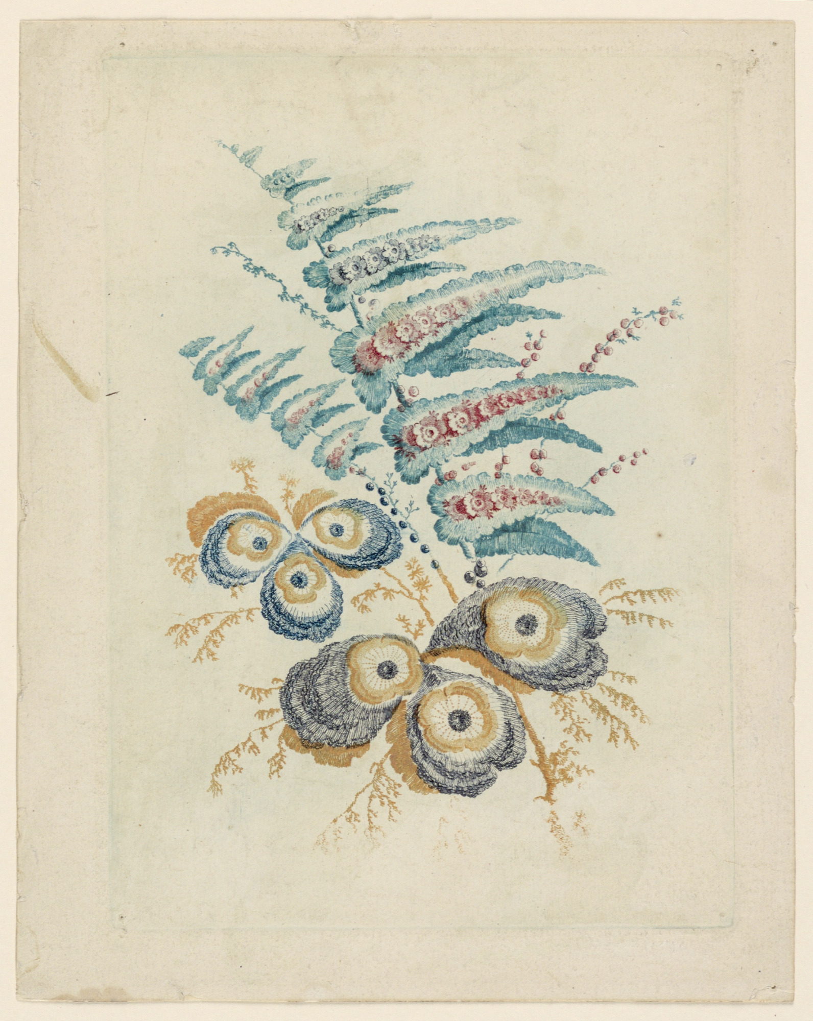 Fantastic Flower Motif from Nouvelle Suitte de Cahiers de Fleurs